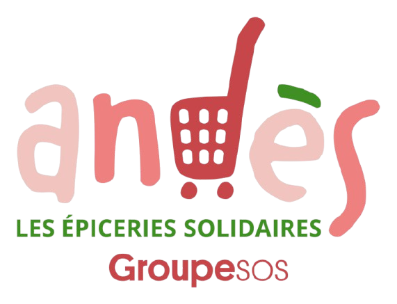 andes_logo-removebg-preview
